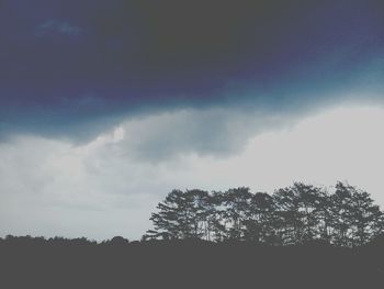 Low angle view of silhouette trees on field against sky