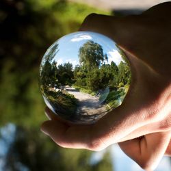 Close-up of person holding glass