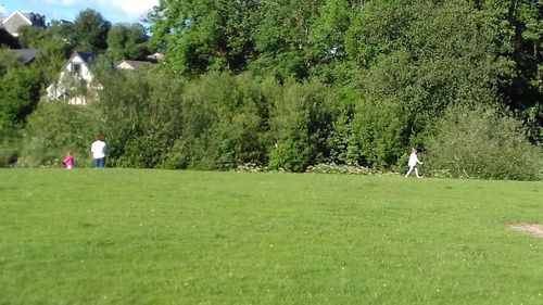 People on field by trees