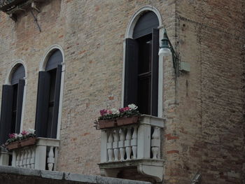 Flowers in front of building