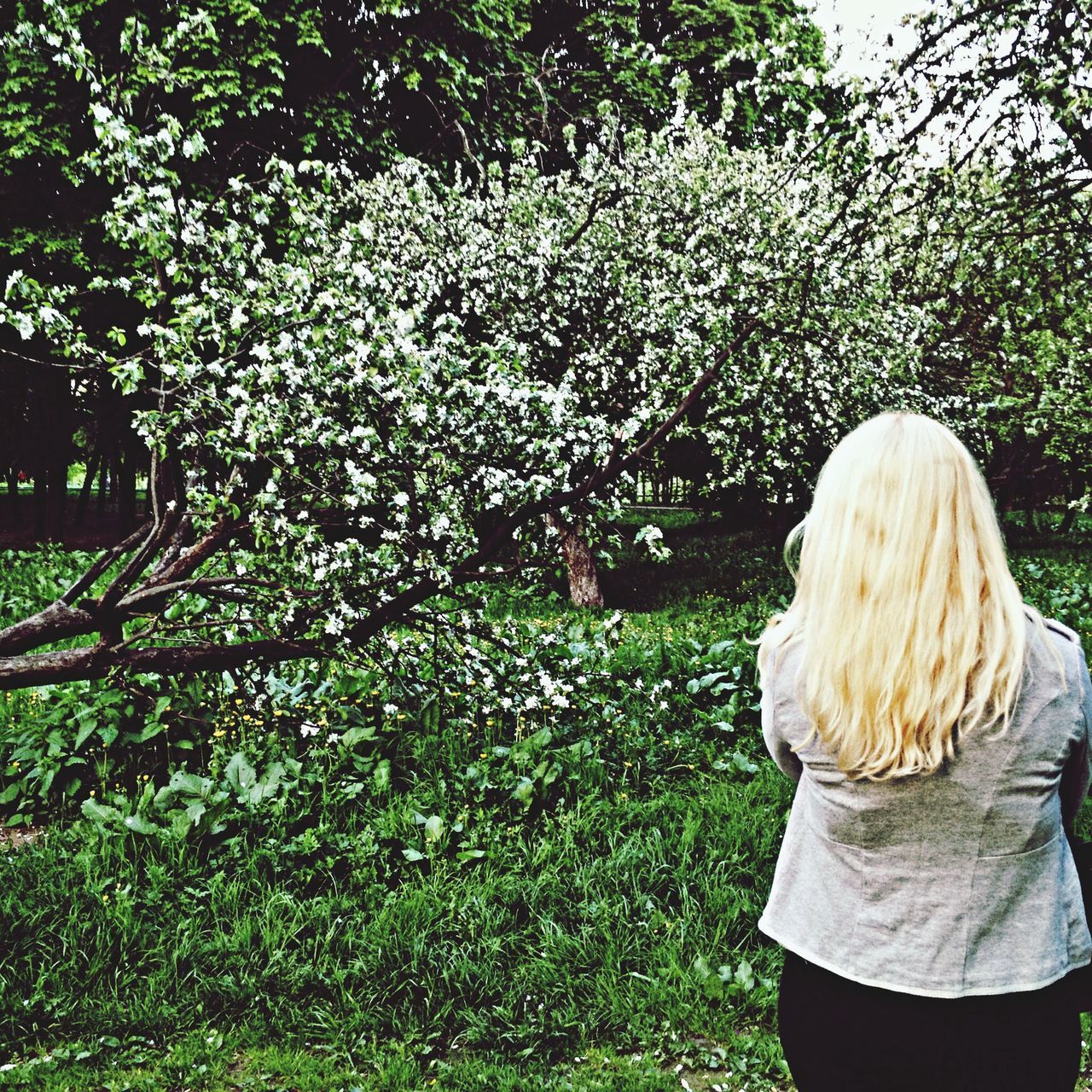 tree, lifestyles, leisure activity, casual clothing, growth, rear view, grass, standing, person, park - man made space, nature, plant, waist up, three quarter length, green color, beauty in nature, flower, day