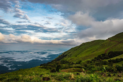 Mountain with green grass and beautiful sky