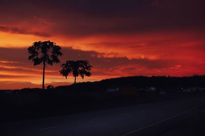 Silhouette palm trees against sky during sunset