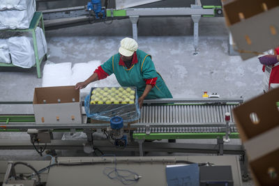 Woman factory packing apples in cardboard box