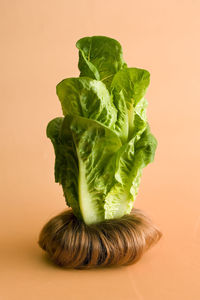 Close-up of lettuce against peach background