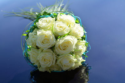 Close-up of white flowers in water