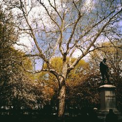 Low angle view of bare trees against sky