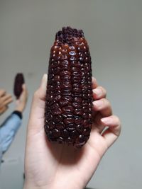 Purple corn was one of the result of crop breeding, contains high antioxidant