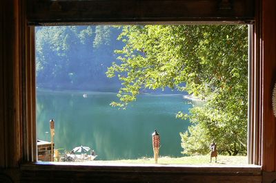 View of lake in forest seen through window