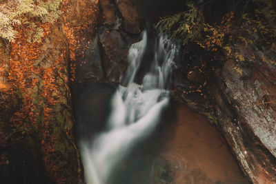 Scenic view of waterfall in forest