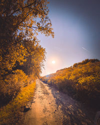 Road amidst trees during autumn against sky