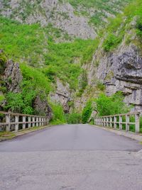 Road amidst trees and mountains