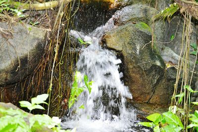 Stream flowing through rocks