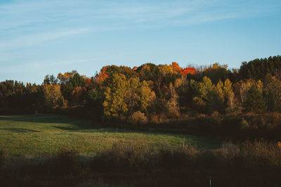 Trees by lake against sky during autumn