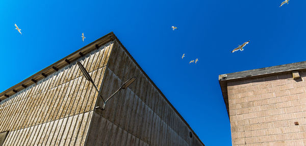 Low angle view of buildings against blue sky