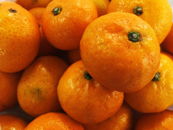 Close-up of oranges