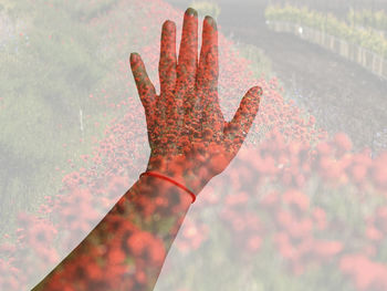 Close-up of hand on plant