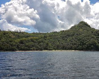 Panoramic view of trees against sky