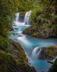 Scenic view of waterfall in forest