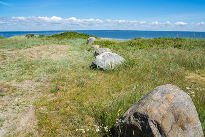 Scenic view of sea shore against sky