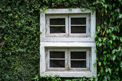 Exterior of abandoned house