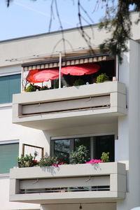 Low angle view of potted plants against building