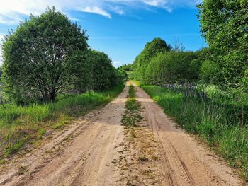 Road amidst trees against sky