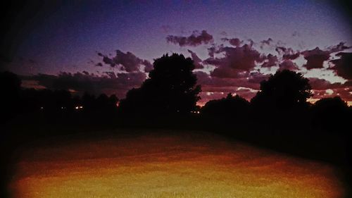 Silhouette trees against sky at night