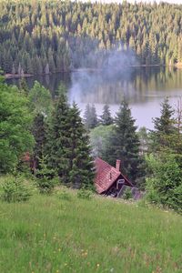 Scenic view of grassy landscape