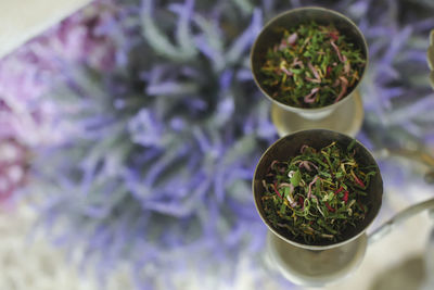 High angle view of potted plant