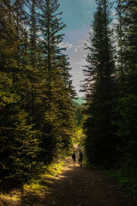 Father and son hike on a path with fishing gear in the canadian rockies