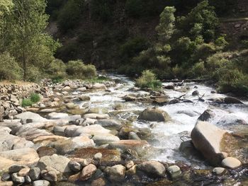 Rocks in river