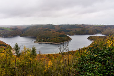 Panoramic view on rur lake in the eifel national park, germany