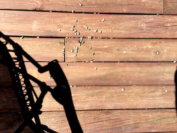 Close-up of wooden plank