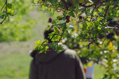 Rear view of person against plants