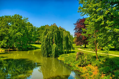 Scenic view of lake in forest against sky