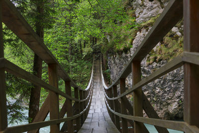 Footbridge amidst trees