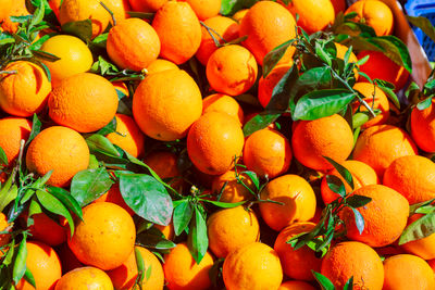 Close-up of oranges