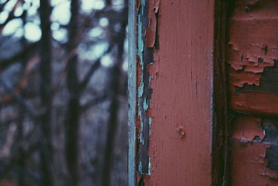 Close-up of door