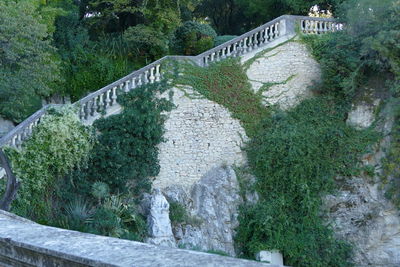 High angle view of bridge over trees by plants