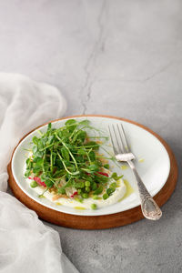 Vegan healthy salad made microgreen sprouts peas, quinoa, radish, mint and yogurt