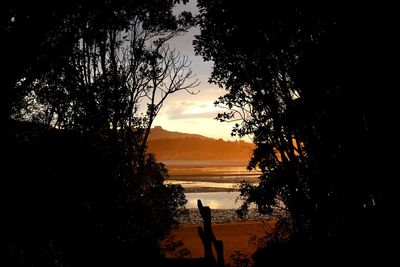 Silhouette trees by sea against sky during sunset