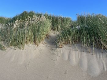 land