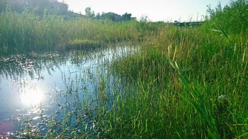 Scenic view of lake against sky