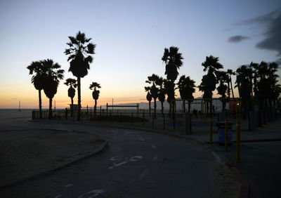 Silhouette palm trees on beach against clear sky