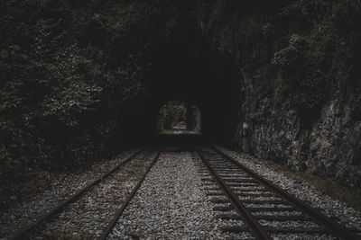 View of railroad tracks in forest