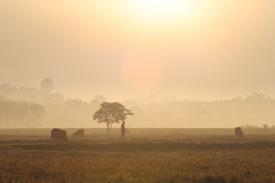 Scenic view of field against sky during sunset