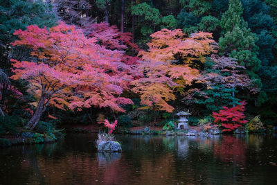 Trees by lake during autumn