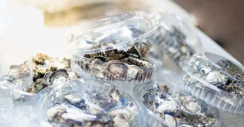 Fresh live shell in a plastic box with ice that preparing for sale at the seafood market.