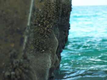 Close-up of water on beach